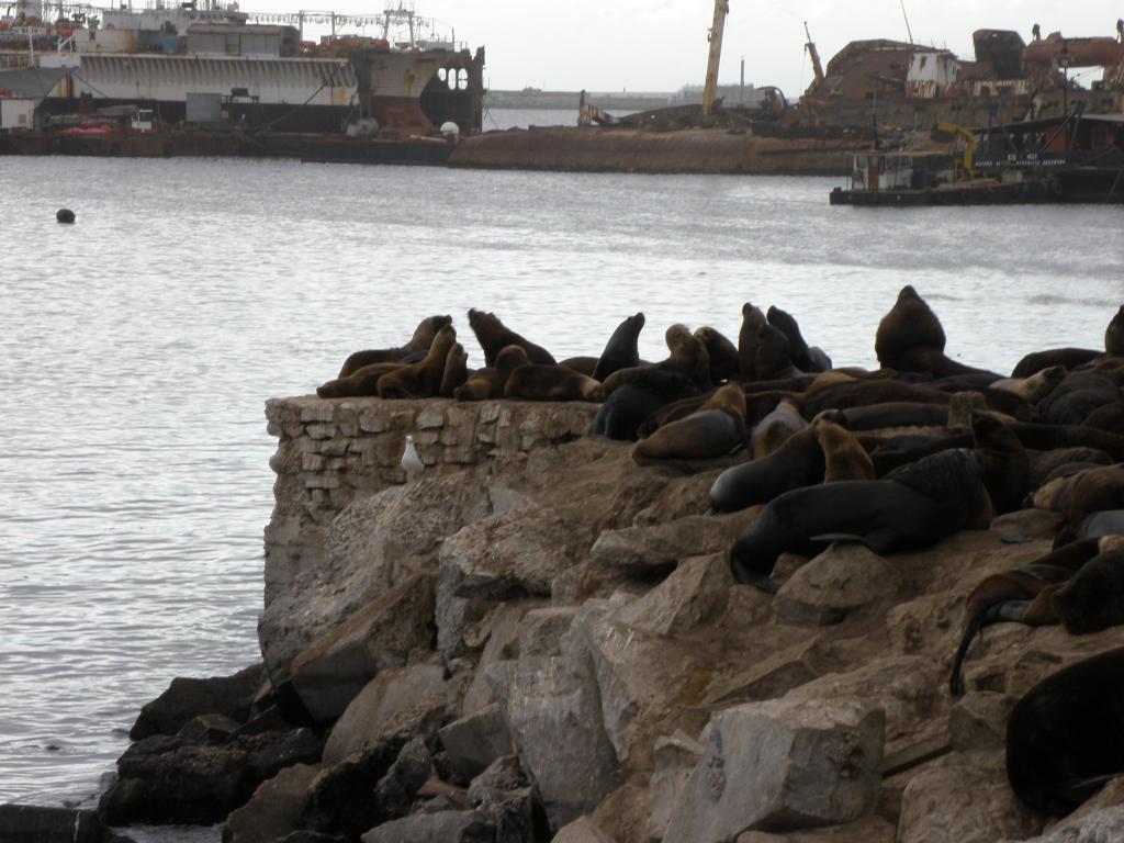 Foto de Mar del Plata (Buenos Aires), Argentina