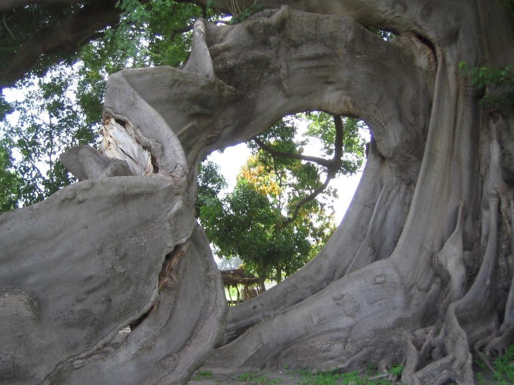 Foto de Missirah, Senegal