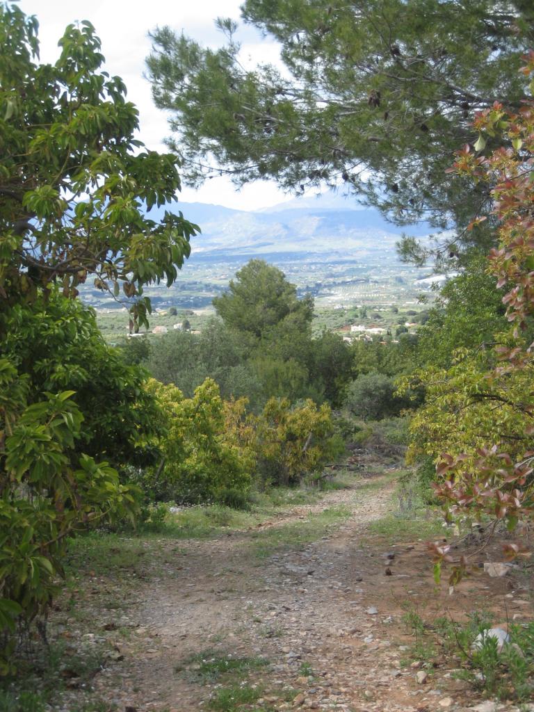 Foto de Alhaurín el Grande (Málaga), España