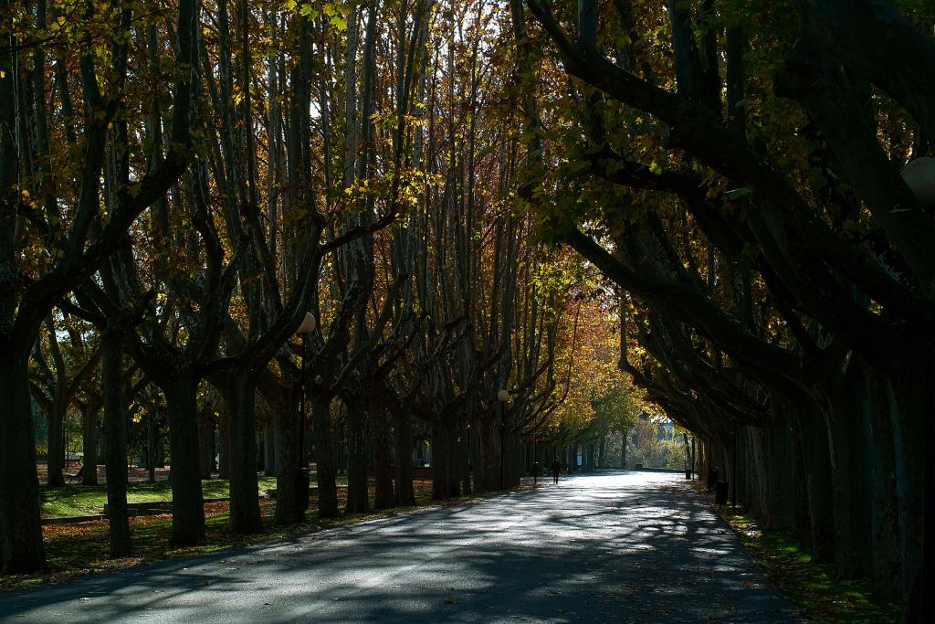 Foto de Zaragoza (Aragón), España