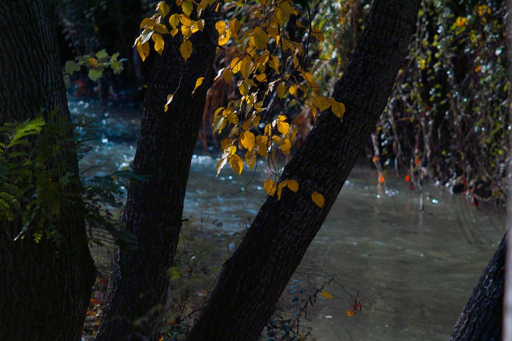 Foto de Zaragoza (Aragón), España