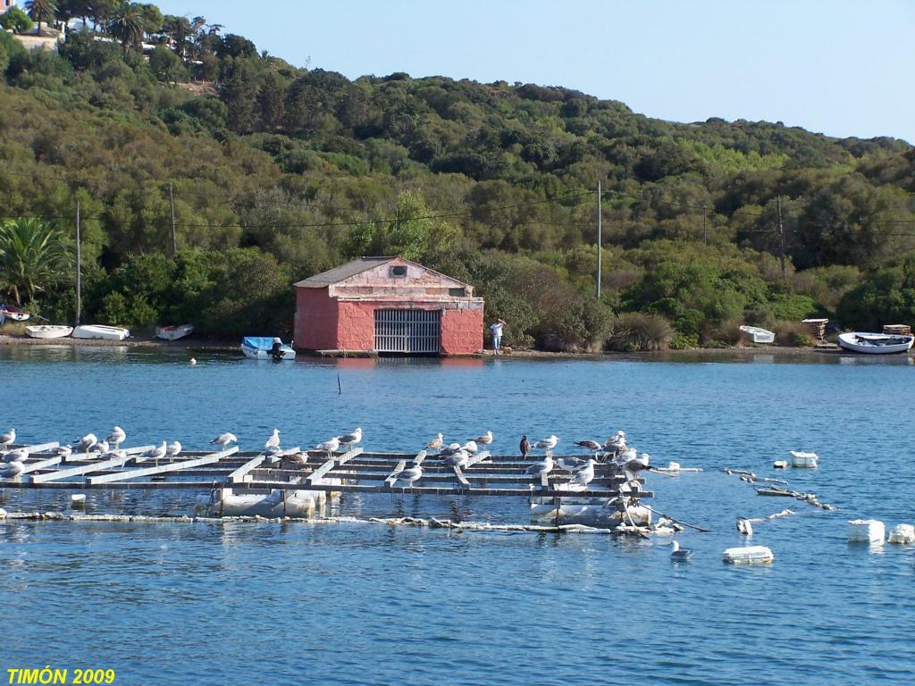 Foto de Mahón (Illes Balears), España