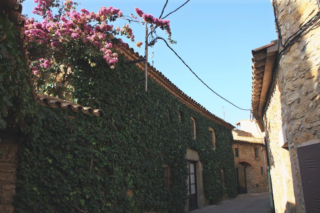Foto de Palau-Sator (Girona), España