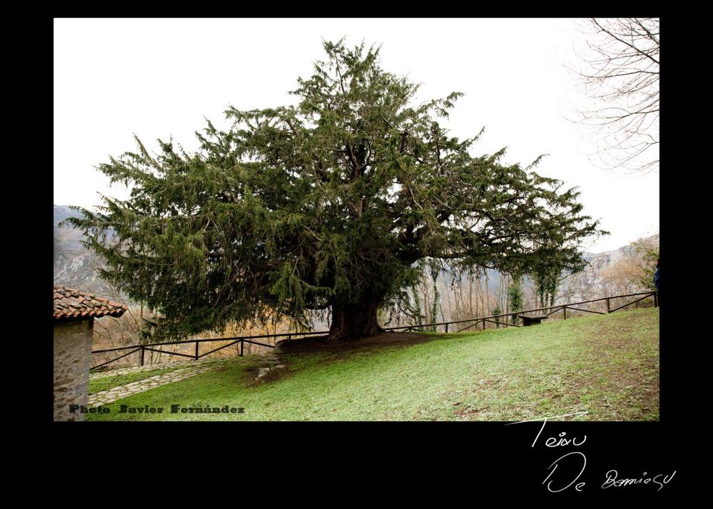 Foto de Quirós (Asturias), España