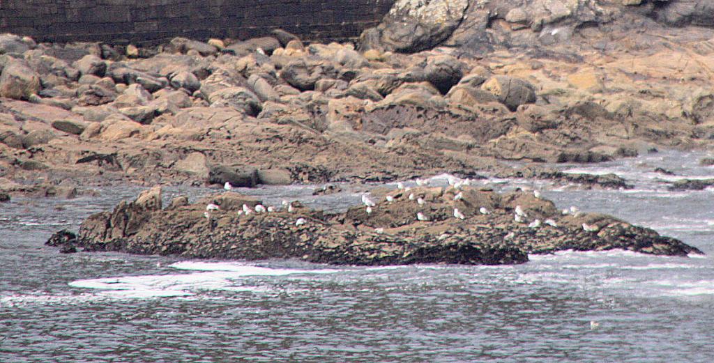 Foto de Baiona (Pontevedra), España
