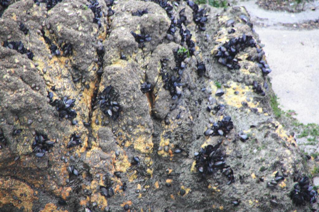 Foto de A Guarda (Pontevedra), España