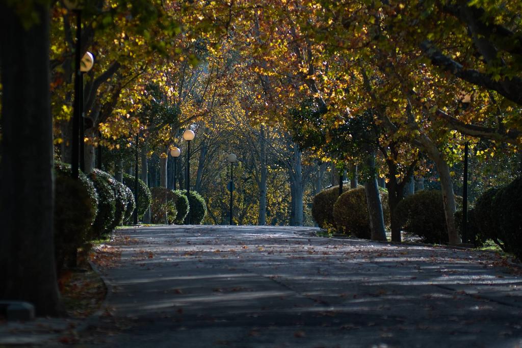 Foto de Zaragoza (Aragón), España