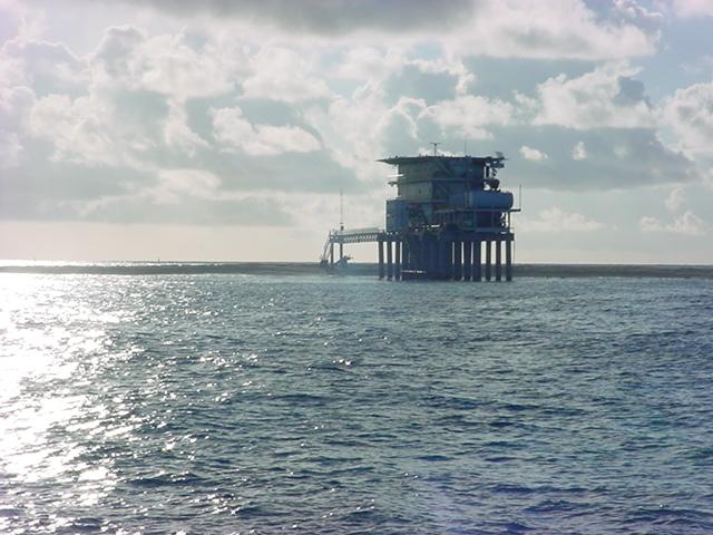 Foto de Isla de Aves, Venezuela