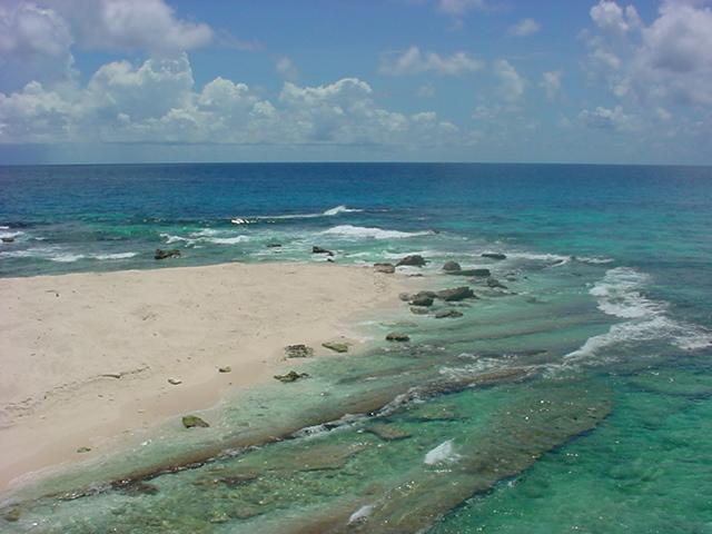 Foto de Isla de aves, Venezuela