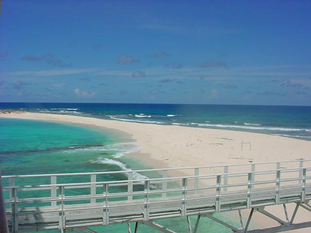 Foto de Isla de aves, Venezuela