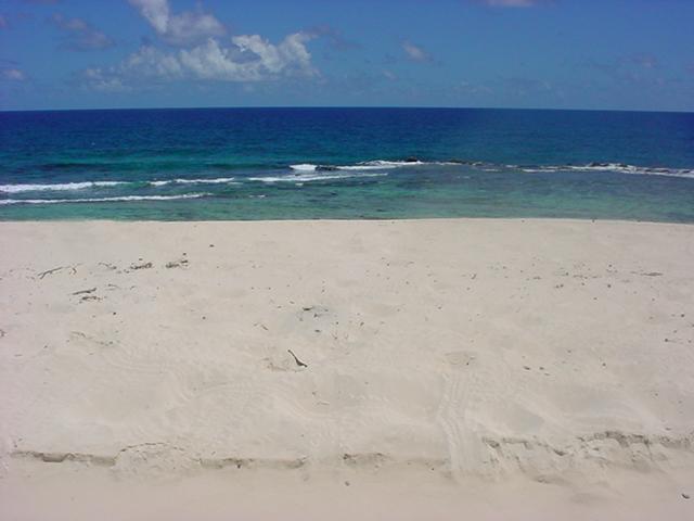 Foto de Isla de aves, Venezuela