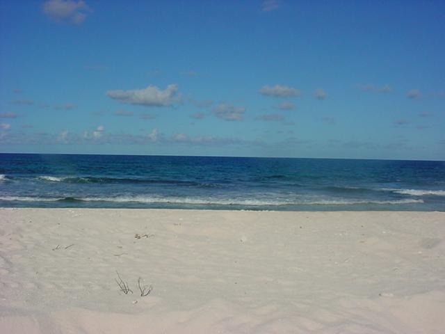 Foto de Isla de Aves, Venezuela
