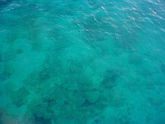 Foto de Isla de Aves, Venezuela