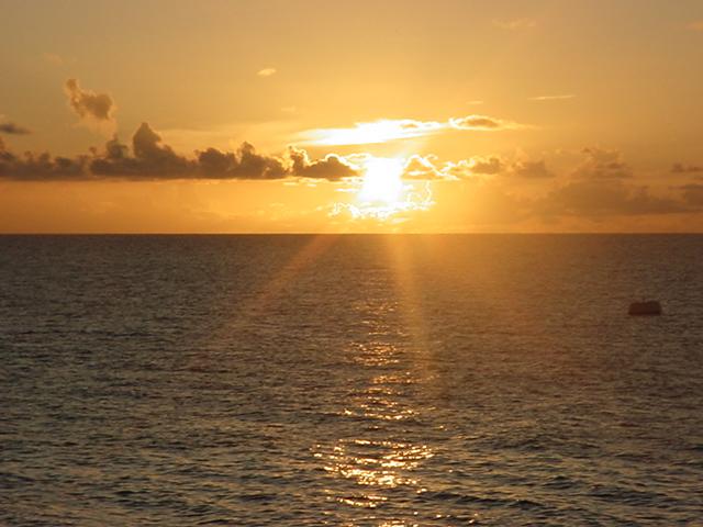 Foto de Isla de Aves, Venezuela