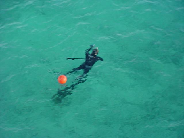 Foto de Isla de Aves, Venezuela