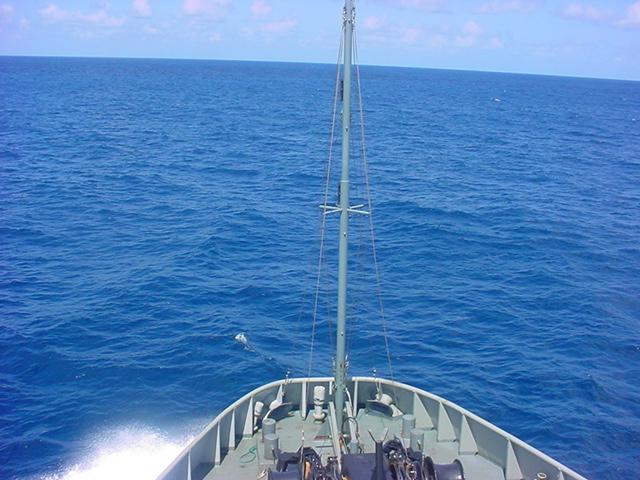 Foto de Isla de Aves, Venezuela