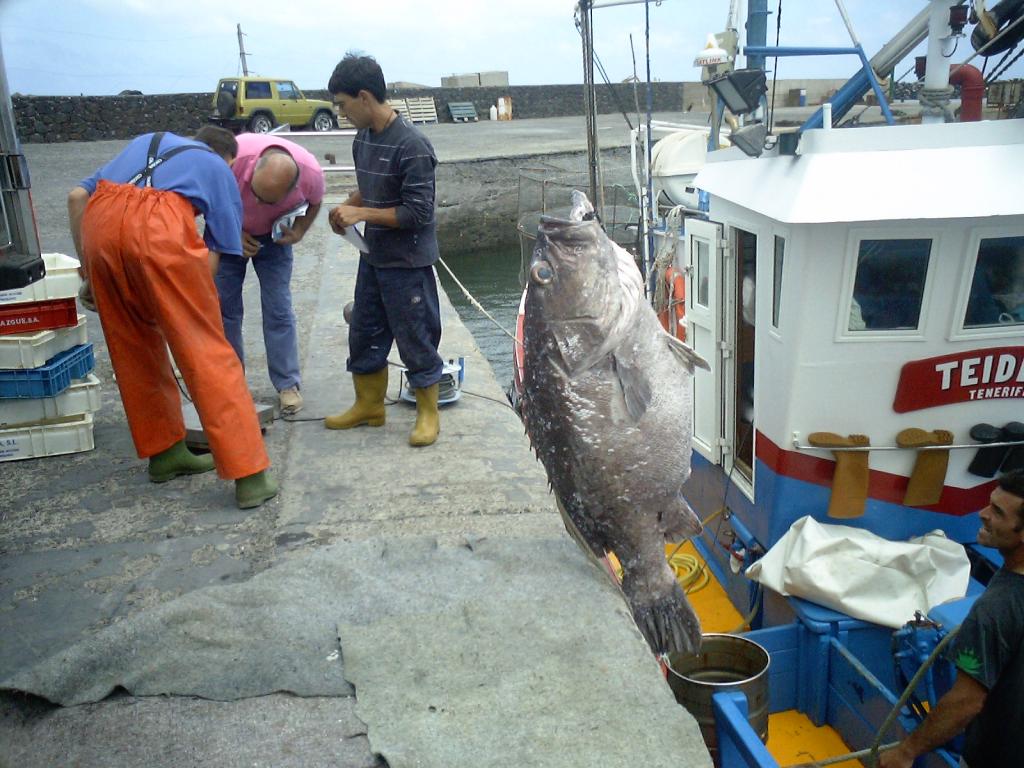 Foto de Orzola (Las Palmas), España