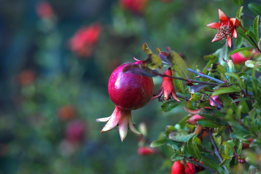 Foto de Zaragoza (Aragón), España