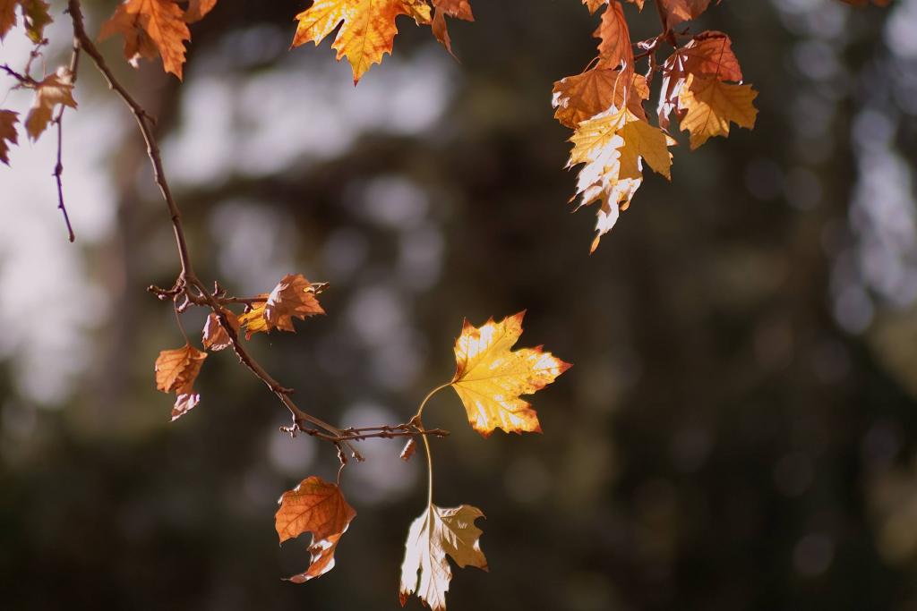 Foto de Zaragoza (Aragón), España