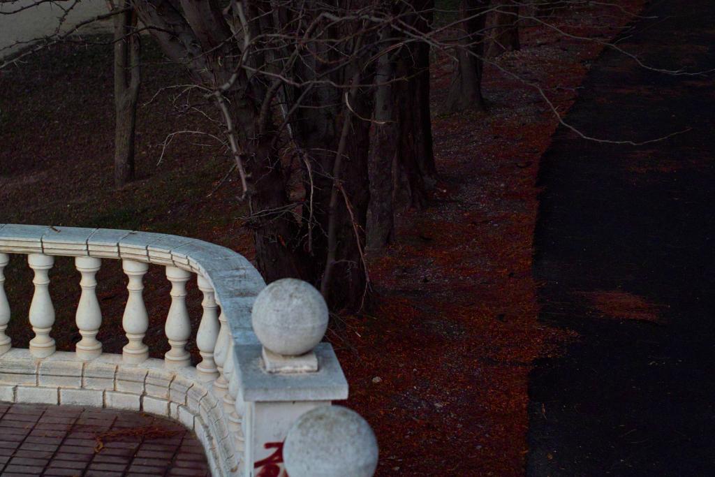 Foto de Zaragoza (Aragón), España