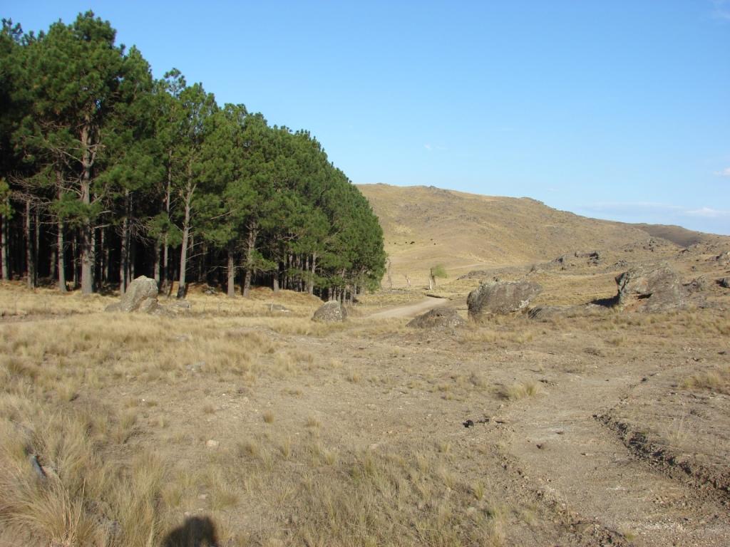 Foto de Embalse (Córdoba), Argentina