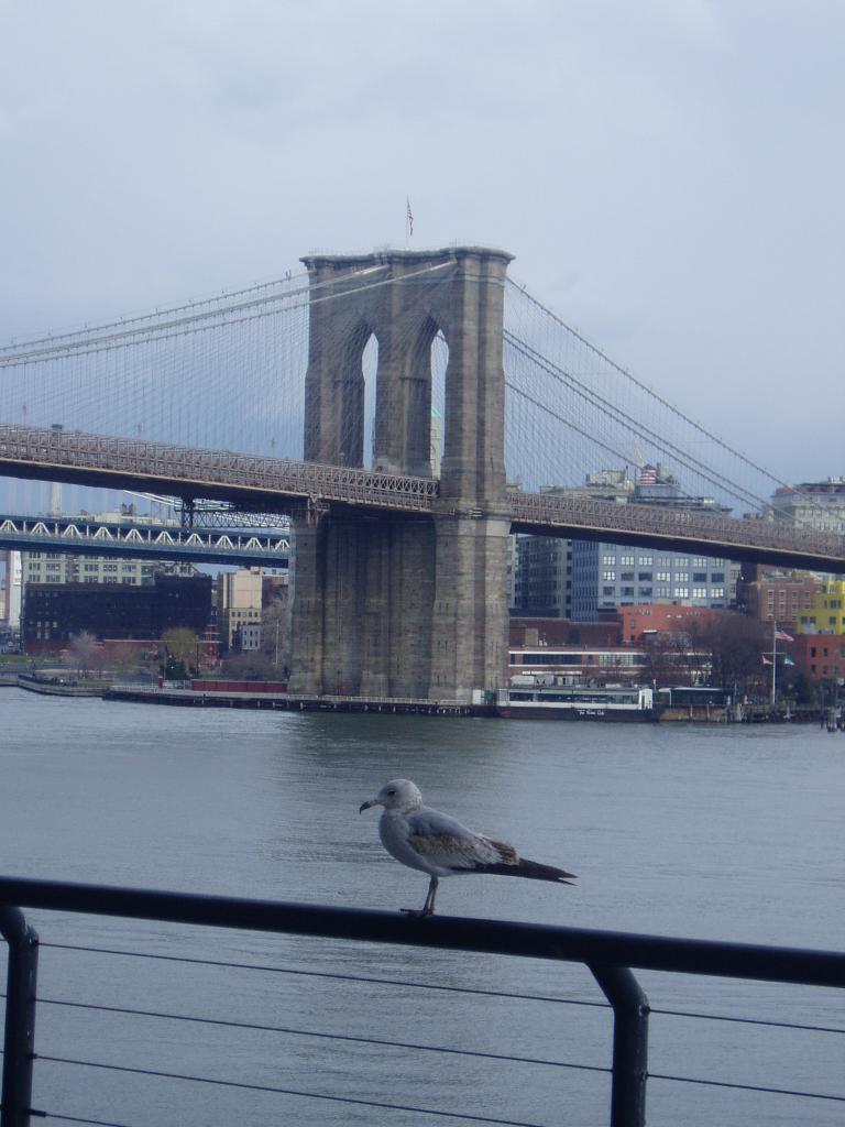 Foto de New york (New York), Estados Unidos