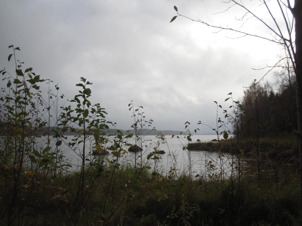 Foto de Haukivuori, Finlandia