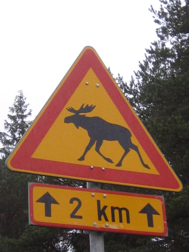 Foto de Haukivuori, Finlandia