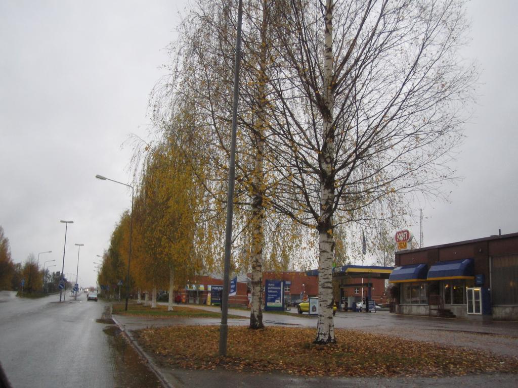 Foto de Mikkeli, Finlandia