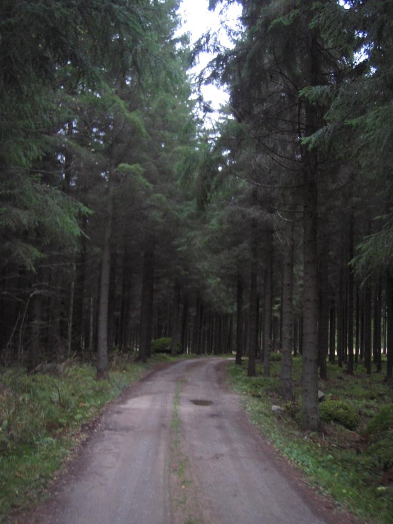 Foto de Haukivuori, Finlandia