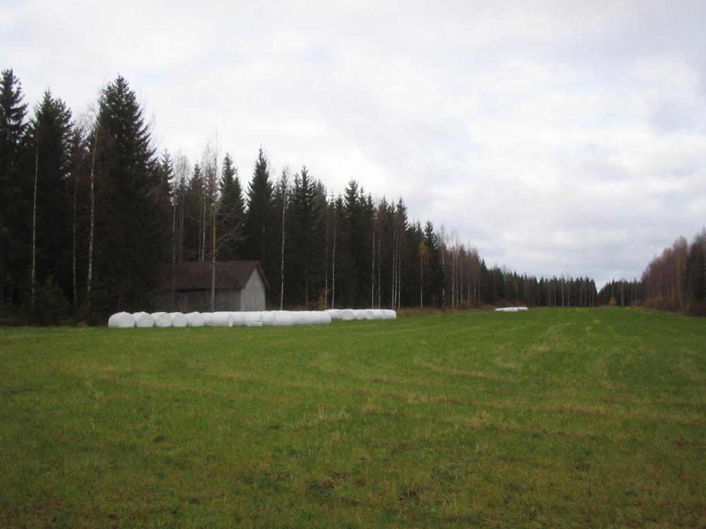 Foto de Haukivuori, Finlandia