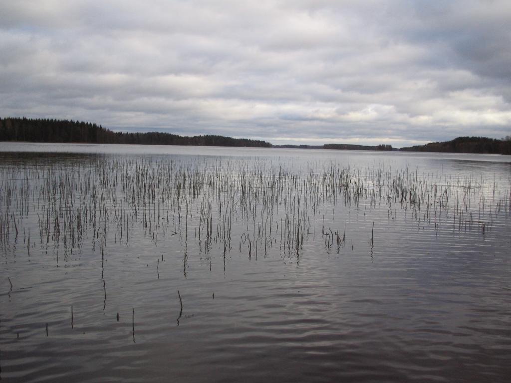 Foto de Haukivuori, Finlandia