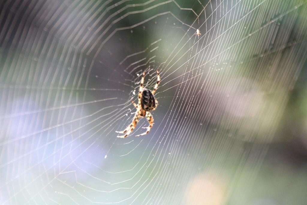 Foto de Poio (Pontevedra), España
