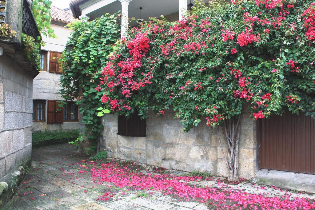 Foto de Combarro (Pontevedra), España