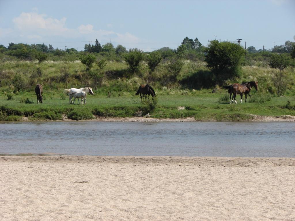 Foto de Quillinzo (Cordoba), Argentina