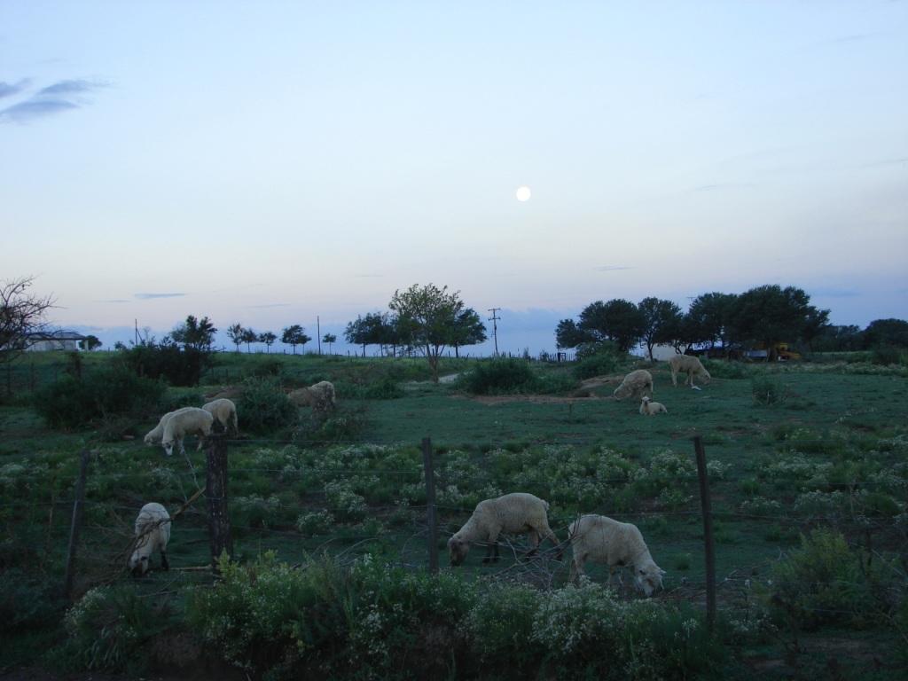 Foto de Quillinzo (Cordoba), Argentina