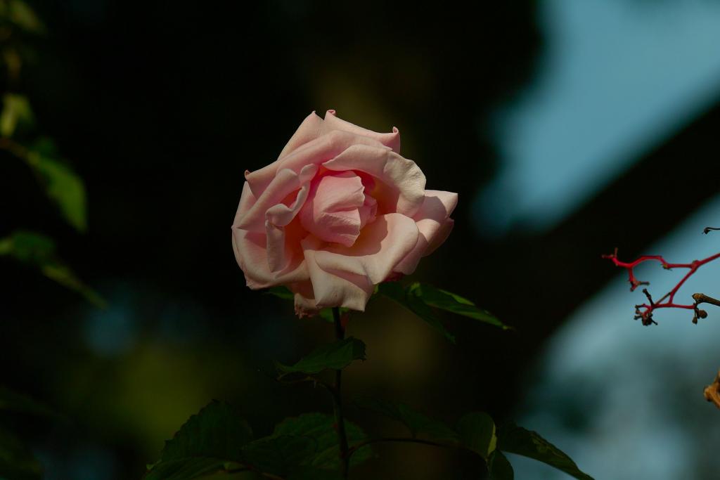 Foto de Zaragoza (Aragón), España