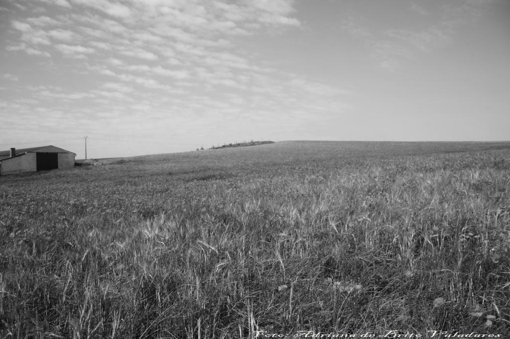 Foto de Chozas de Canales (Toledo), España