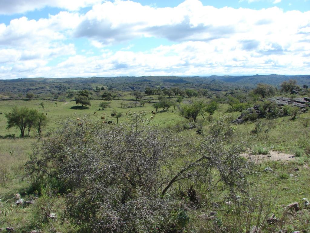Foto de Embalse (Córdoba), Argentina
