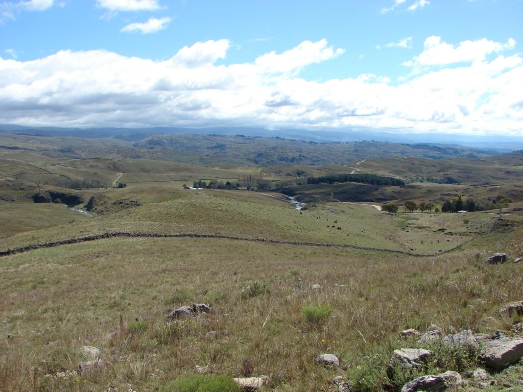 Foto de Embalse (Córdoba), Argentina
