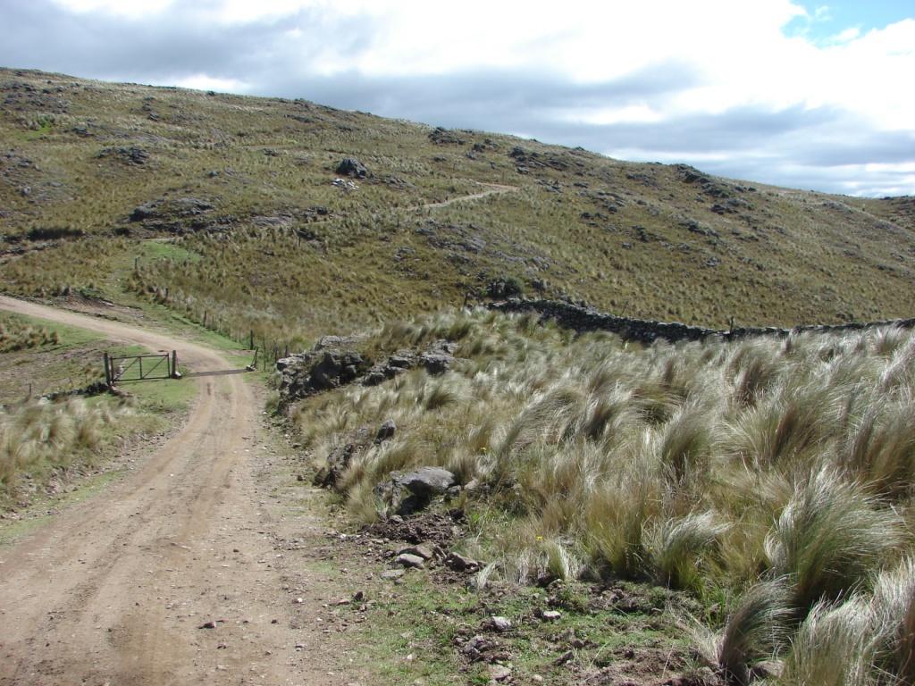Foto de Embalse (Córdoba), Argentina