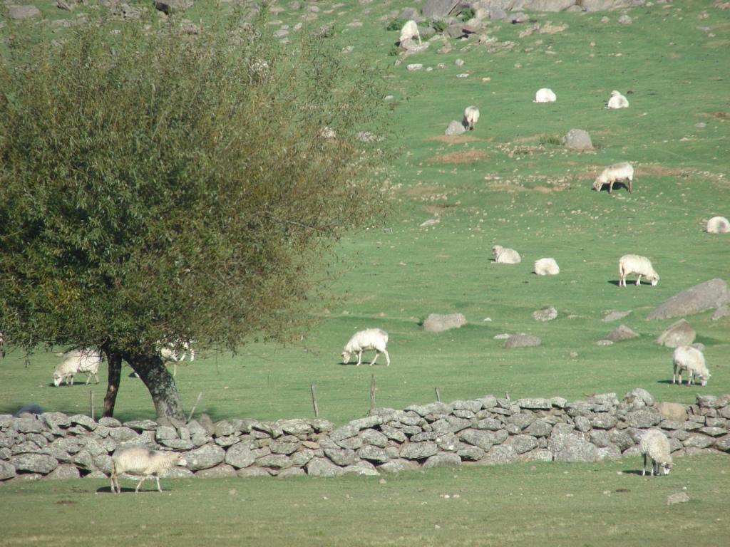 Foto de Embalse (Córdoba), Argentina