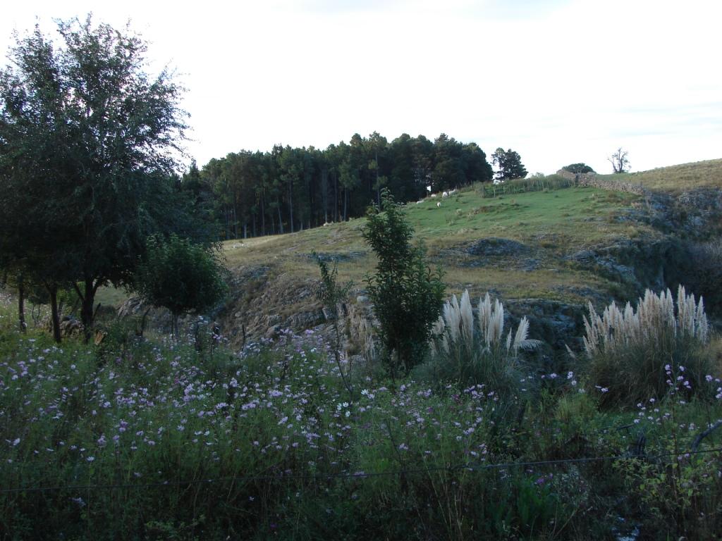 Foto de Embalse (Córdoba), Argentina
