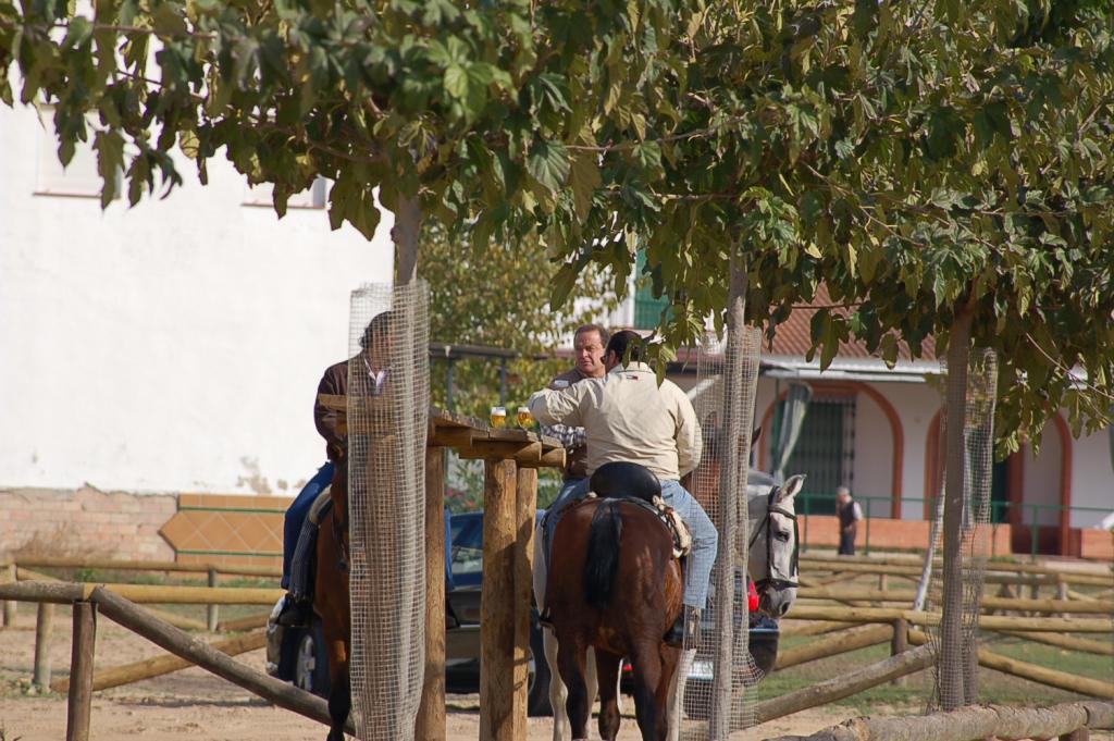 Foto de El Rocio (Huelva), España