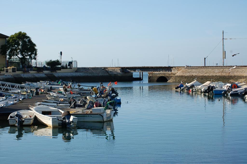 Foto de Faro, Portugal