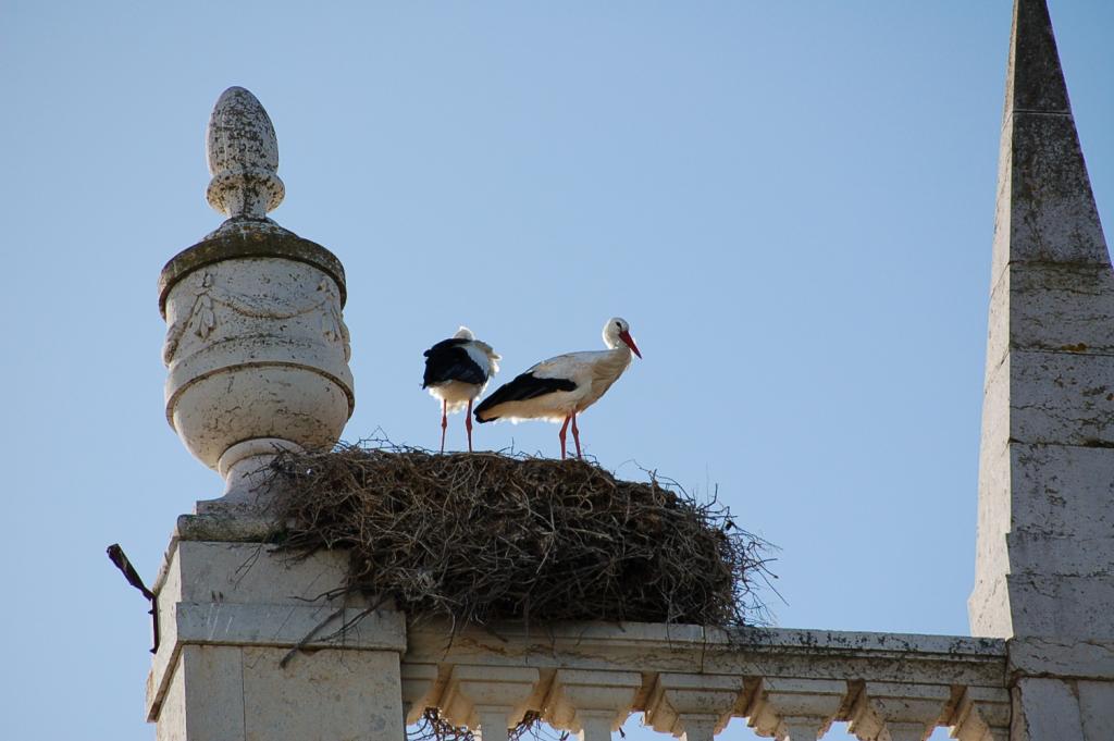 Foto de Faro, Portugal