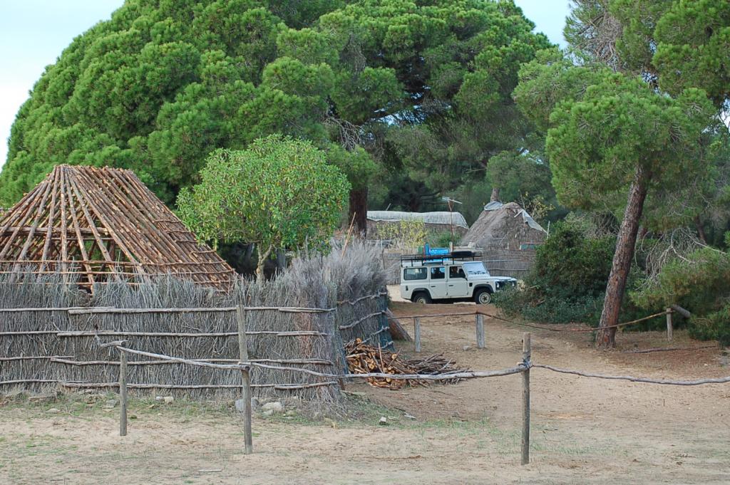 Foto de Doñana (Huelva), España