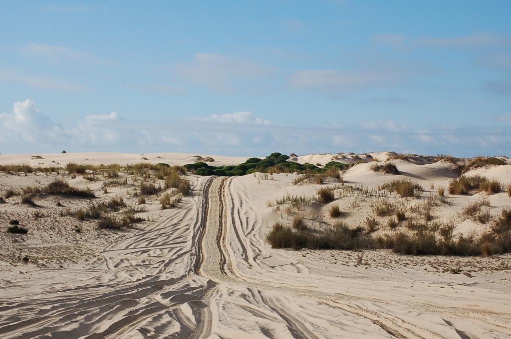 Foto de Doñana (Huelva), España