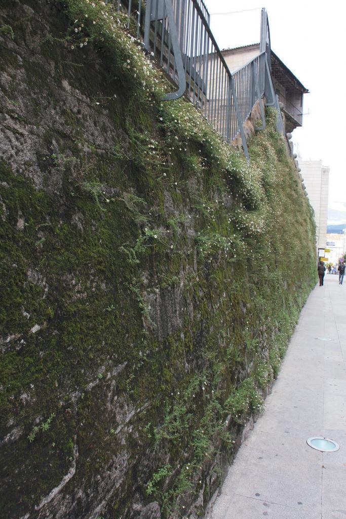 Foto de Pontevedra (Galicia), España