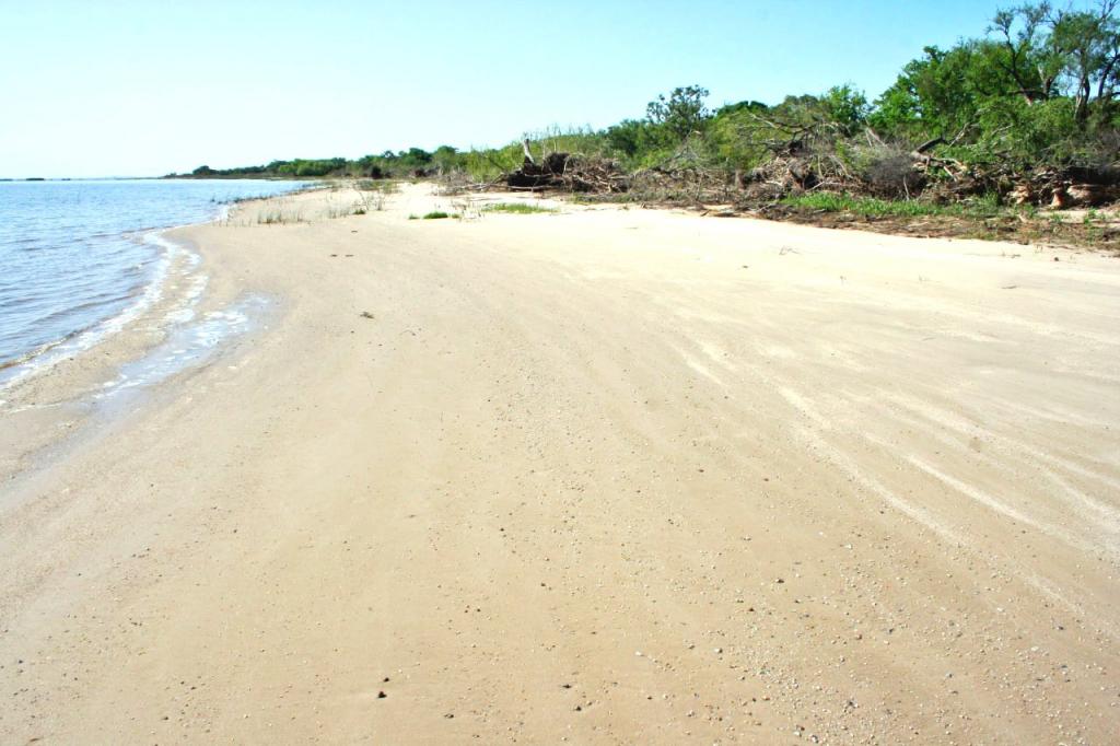 Foto de Martín Chico (Carmelo), Uruguay